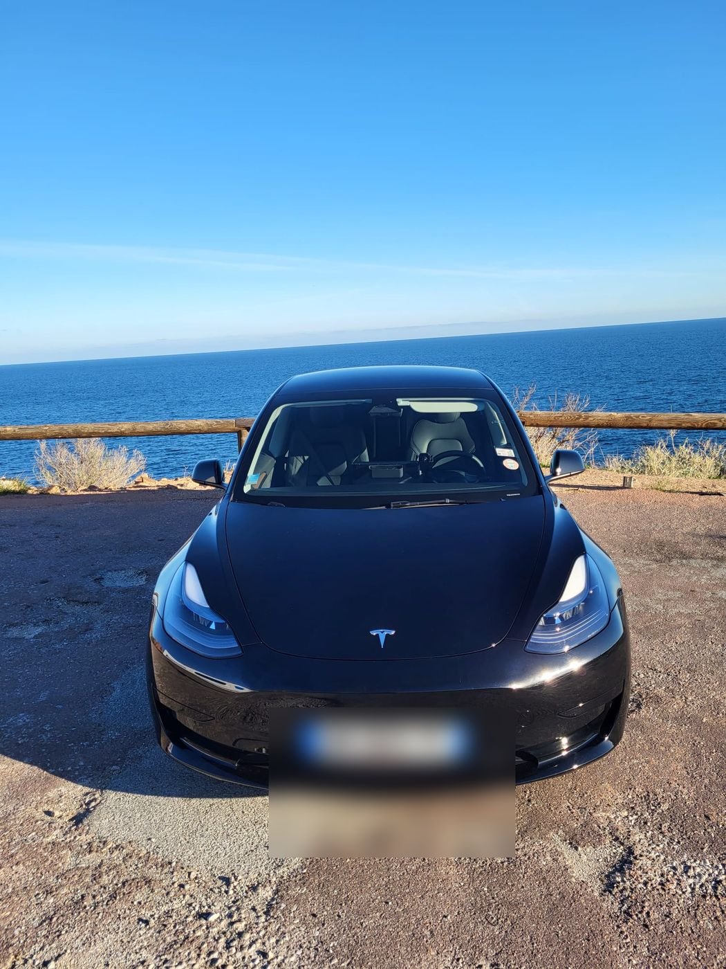 Tesla Model 3 Montclair Prestige